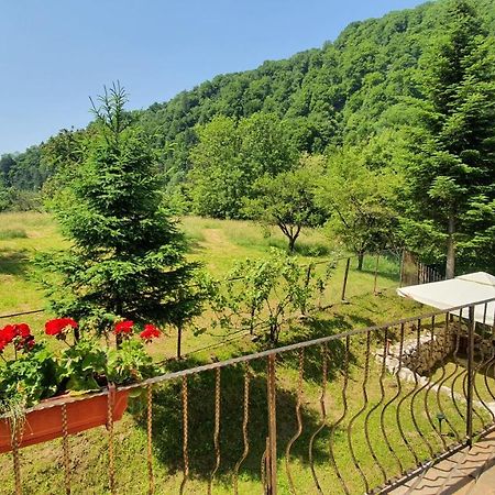 Bran 99 Villa Exterior photo